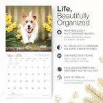 Cute Jack Russell Terrier Wall Calendar 2026