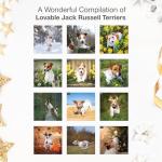 Cute Jack Russell Terrier Wall Calendar 2026