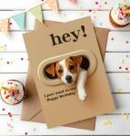 Funny Jack Russell Birthday Card for Dog Lovers