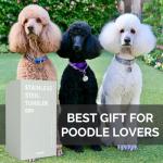 Poodle Lover's Insulated Tumbler with Straw