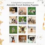 French Bulldog Puppies 2026 Wall Calendar