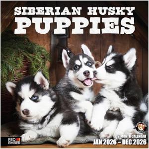 Siberian Husky Puppies 2026 Wall Calendar