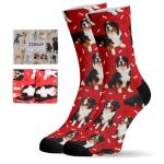 Bernese Mountain Dog Socks for Dog Lovers