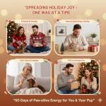 Dachshund Affirmation Jar with 60 Cards