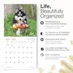 Siberian Husky Puppies 2026 Wall Calendar