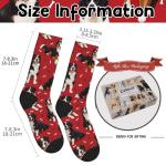 Bernese Mountain Dog Socks for Dog Lovers
