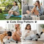 Husky Dog Socks for Fun Dog Lovers