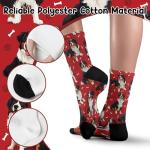 Bernese Mountain Dog Socks for Dog Lovers