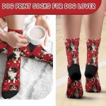 Bernese Mountain Dog Socks for Dog Lovers