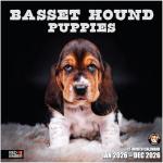 Basset Hound Puppies 2026 Wall Calendar
