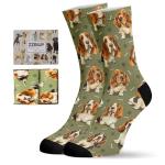 Basset Hound Socks for Dog Lovers