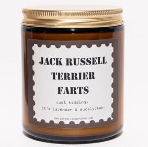 Lavender & Eucalyptus Candle for Dog Lovers