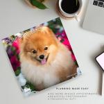 Pomeranian 2026 Wall Calendar for Dog Lovers