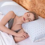 Queen Size Shredded Memory Foam Pillows Set of 2