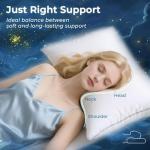 Queen Size Luxury Down Alternative Pillow Set