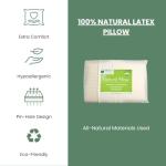 Organic Latex Pillow with Cotton Cover - Medium Size