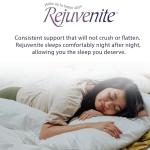 RejuveNite® Talalay Latex Pillow - Medium Support