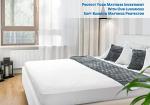 PlushDeluxe Bamboo Queen Mattress Protector – Waterproof & Soft