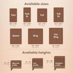 Queen Mattress Encasement - Hypoallergenic & Waterproof