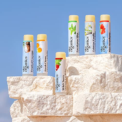 Sky Organics Organic Beeswax Lip Balm Set, 6 Flavors