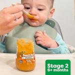 Beech-Nut Veggie Purees Baby Food Pouch Pack