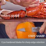 German Stainless Steel Steak Knife Set - 4 Pieces