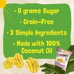 Barnana Organic Himalayan Pink Salt Plantain Chips