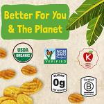 Barnana Organic Himalayan Pink Salt Plantain Chips