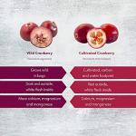 LOOV Organic Berry Powder Bundle – 4 Varieties