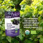 LOOV Organic Berry Powder Bundle – 4 Varieties