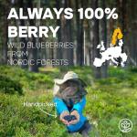 Wild Blueberry Superfood Powder - No Sugar Added