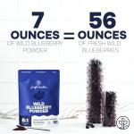 Wild Blueberry Superfood Powder - No Sugar Added