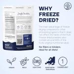 Wild Blueberry Superfood Powder - No Sugar Added