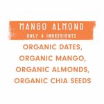 JONESBAR Mango Almond Organic Protein Bars (12 Pack)