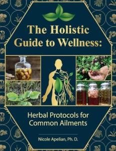Herbal Remedies for Everyday Wellness Guide