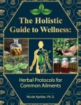 Herbal Remedies for Everyday Wellness Guide