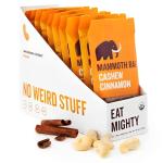 Organic Paleo Cashew Cinnamon Protein Bars - 10 Pack