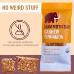 Organic Paleo Cashew Cinnamon Protein Bars - 10 Pack