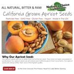 Organic California Bitter Apricot Seeds - 8 OZ