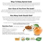 Organic California Bitter Apricot Seeds - 8 OZ