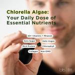 Organic Chlorella Tablets for Energy and Detox