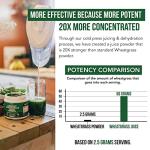 Organic Wheatgrass Juice Powder - 20:1 Concentrate