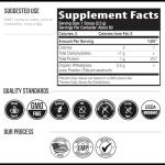 Organic Wheatgrass Juice Powder - 20:1 Concentrate