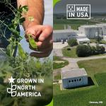 PURI Pea Protein Powder - Vegan, Non-GMO, 27g