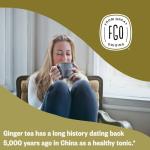 FGO Organic Ginger Tea Bags - 100 Count