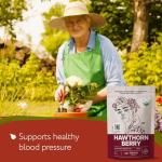 Organic Hawthorn Berry Tea - 32oz Herbal Blend