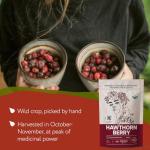 Organic Hawthorn Berry Tea - 32oz Herbal Blend