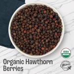 Organic Dried Hawthorn Berries - 16 oz Bag