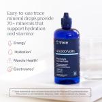 Trace Minerals 40,000 Volts - Hydration & Energy Boost