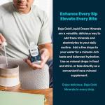 Baja Gold Ocean Trace Mineral Drops - 4 fl oz